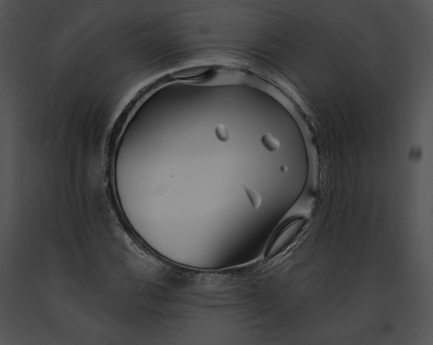 X0000091171116200708301149