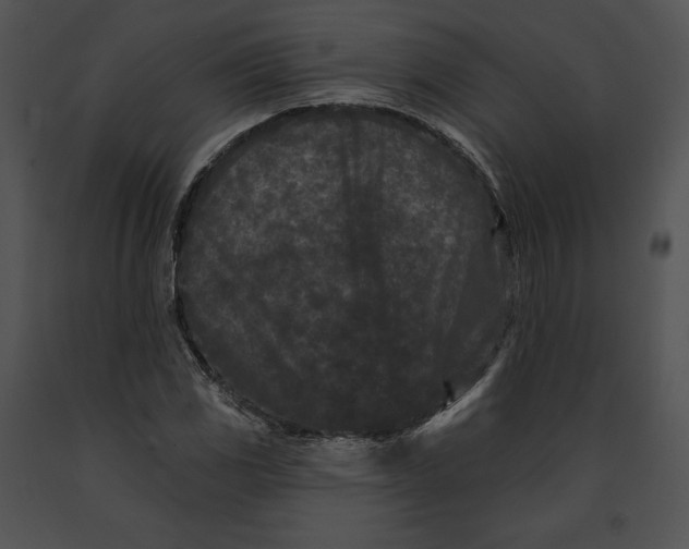 X0000091171117200708301149