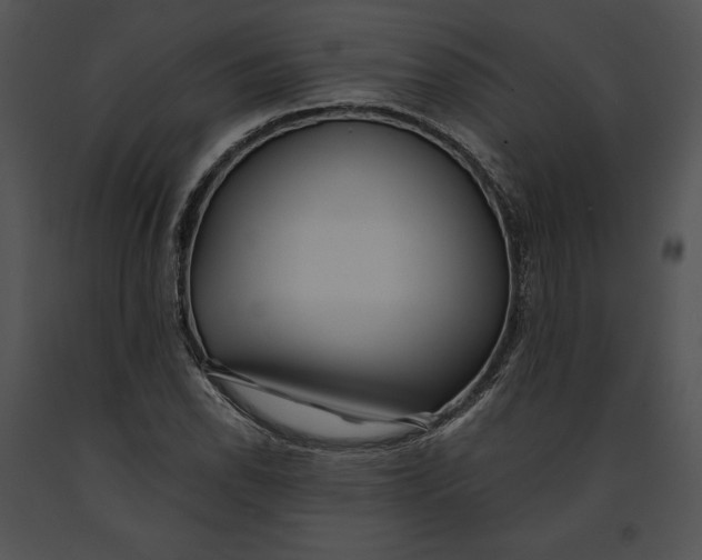 X0000091171118200708301149