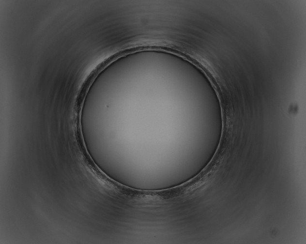 X0000091171119200708301149