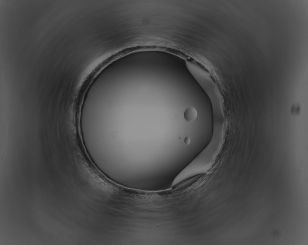 X0000091171120200708301149