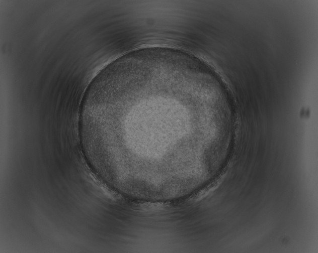 X0000091171121200708301149