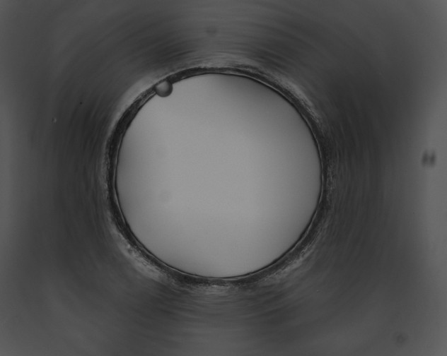 X0000091171122200708301150