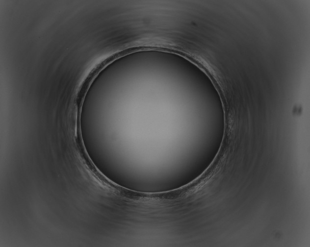 X0000091171123200708301150