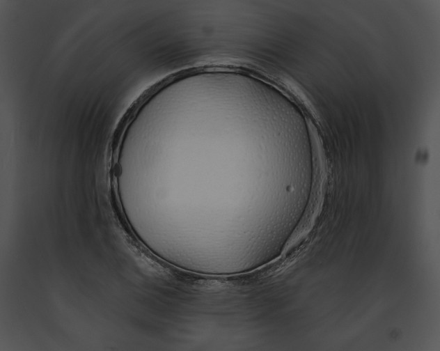 X0000091171124200708301150