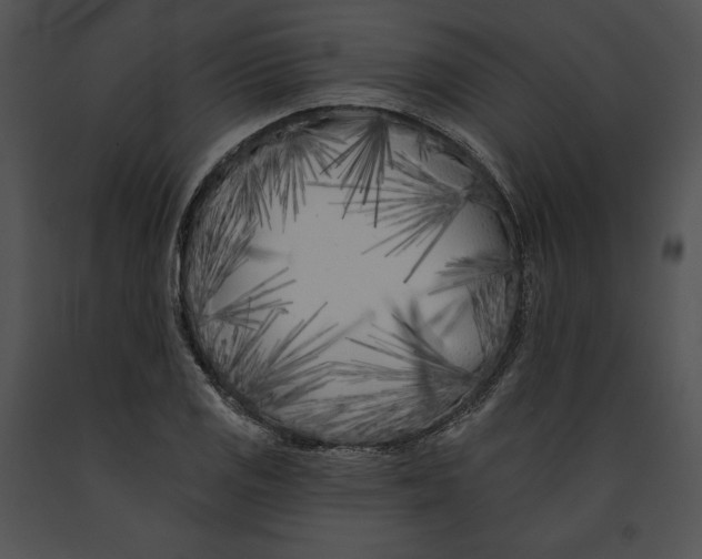 X0000091171125200708301150