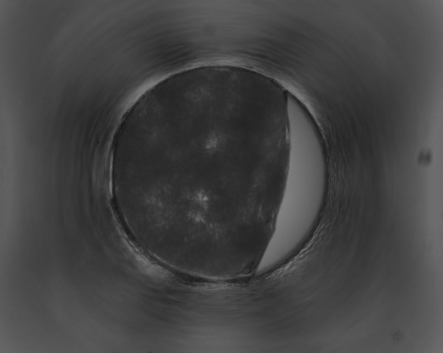 X0000091171127200708301150