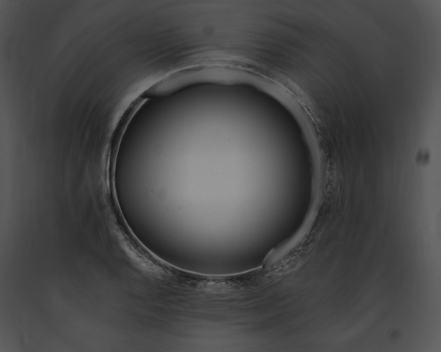 X0000091171128200708301150