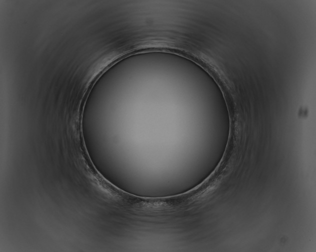 X0000091171129200708301150