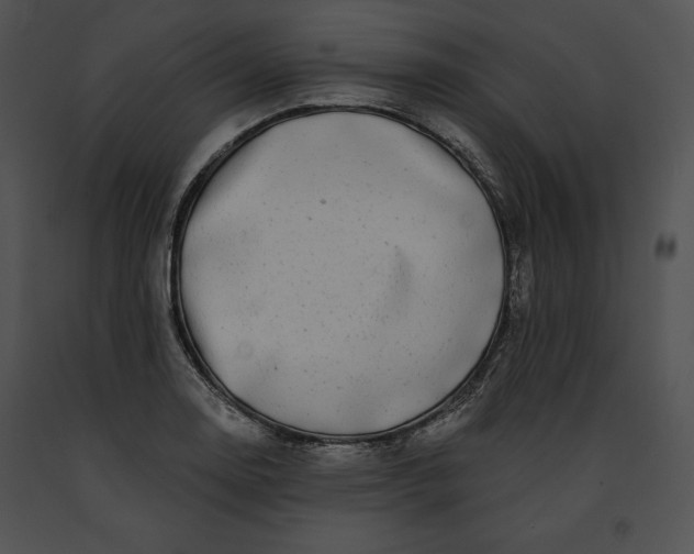 X0000091171130200708301150