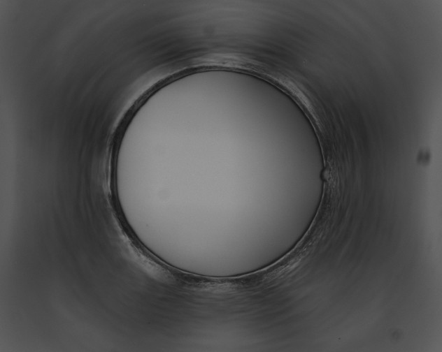 X0000091171131200708301150