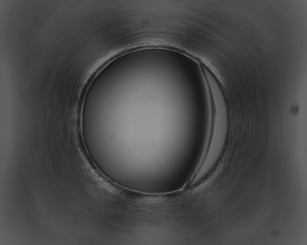 X0000091171134200708301150