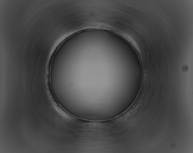 X0000091171136200708301150