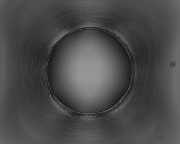 X0000091171137200708301150