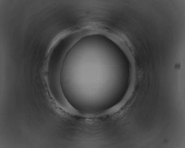 X0000091171138200708301150