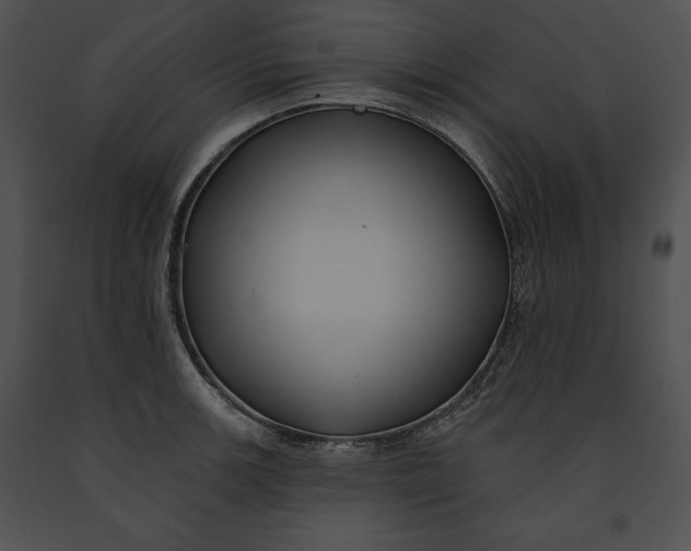 X0000091171139200708301150