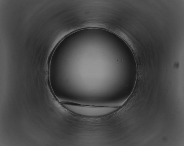 X0000091171140200708301150