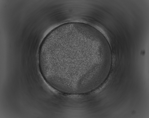 X0000091171141200708301150