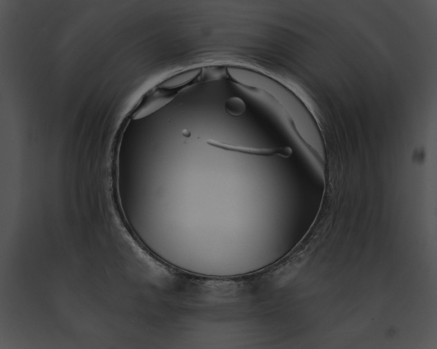 X0000091171142200708301150