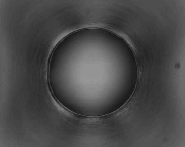 X0000091171143200708301150