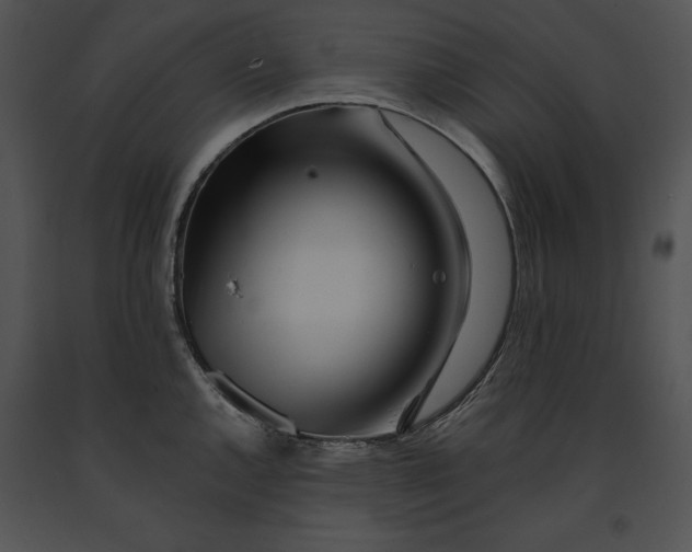 X0000091171144200708301150