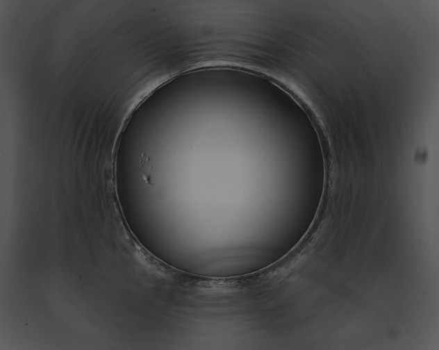 X0000091171145200708301150