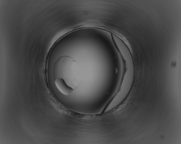 X0000091171146200708301150