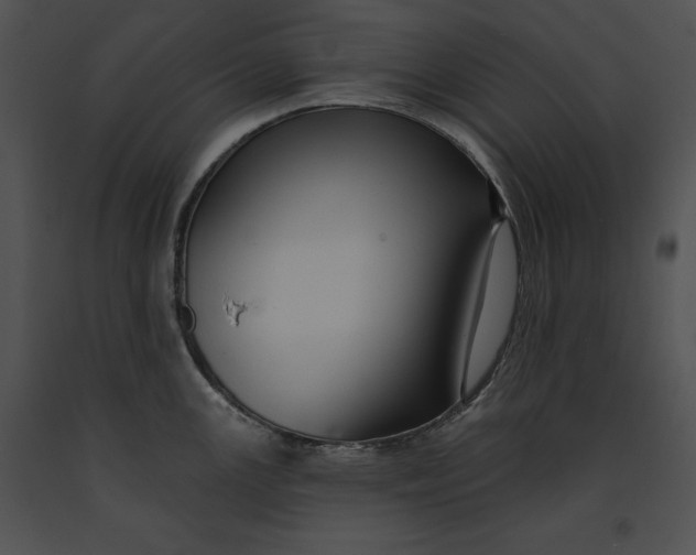 X0000091171147200708301150