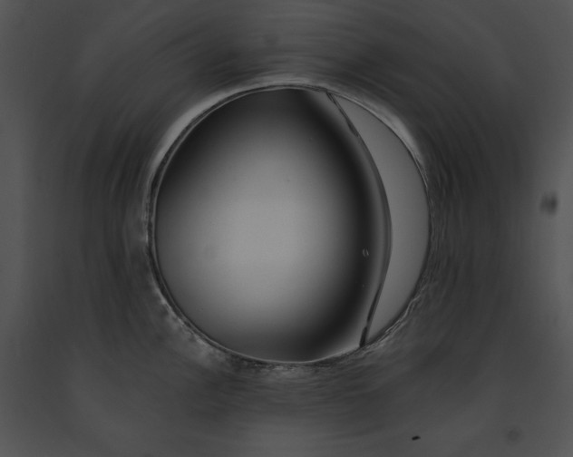 X0000091171148200708301150