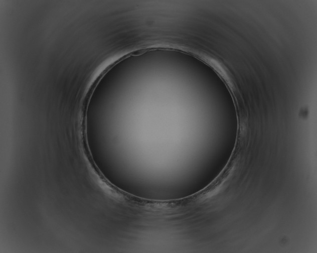 X0000091171149200708301150