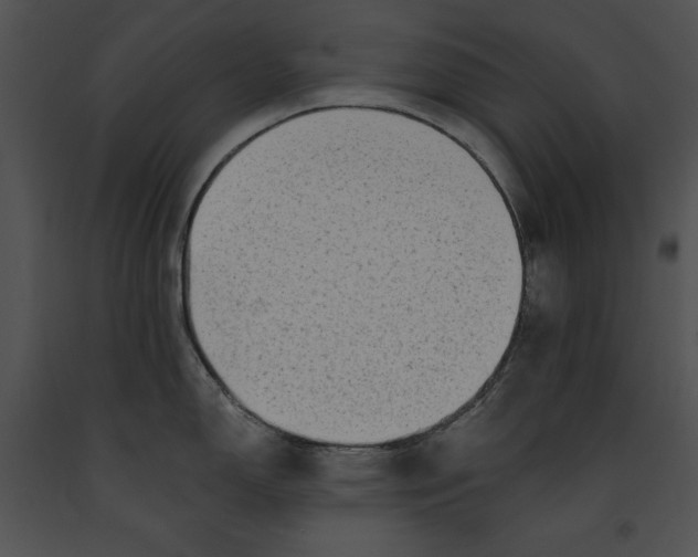 X0000091171150200708301150