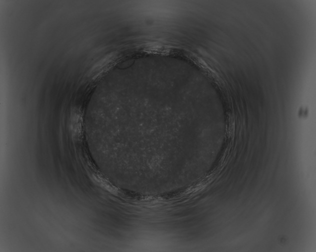 X0000091171154200708301149