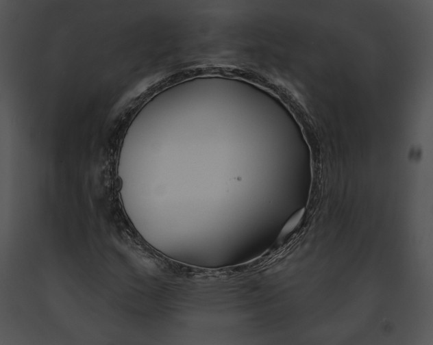 X0000091171159200708301149