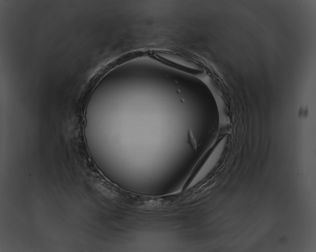 X0000091171160200708301149