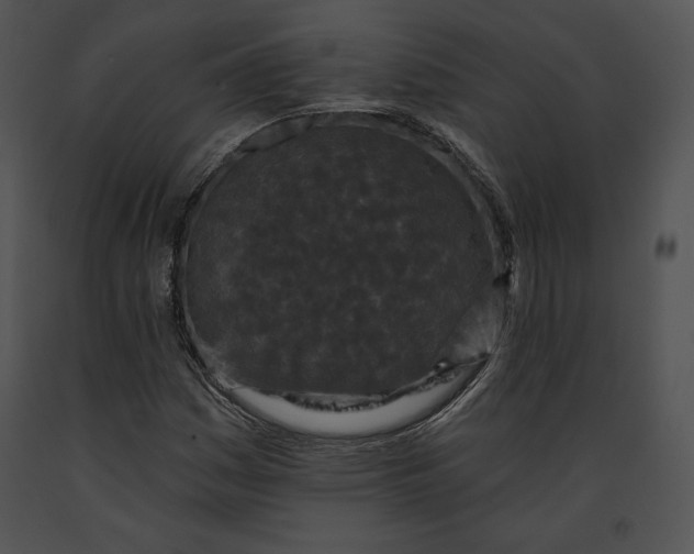 X0000091171161200708301149