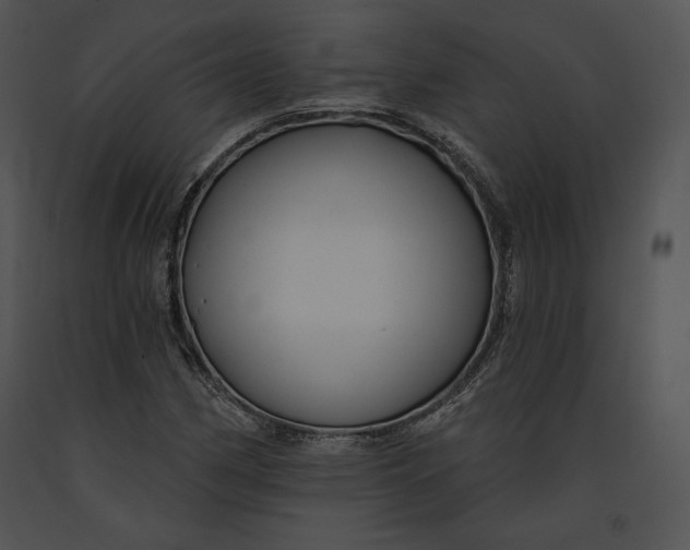 X0000091171162200708301149