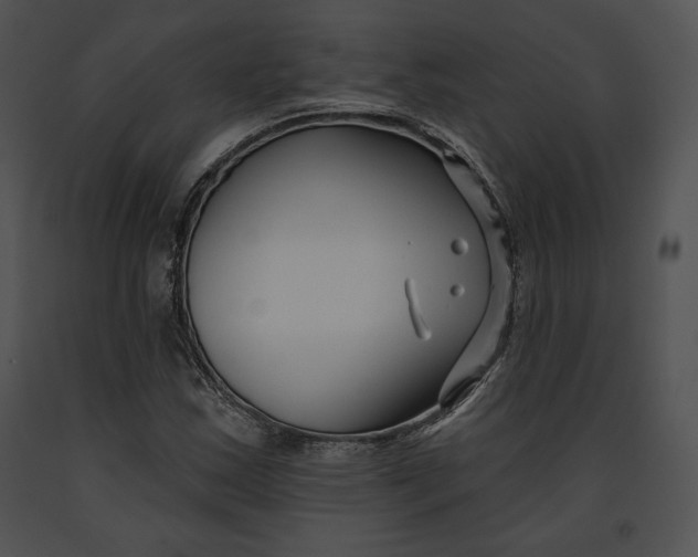 X0000091171163200708301149