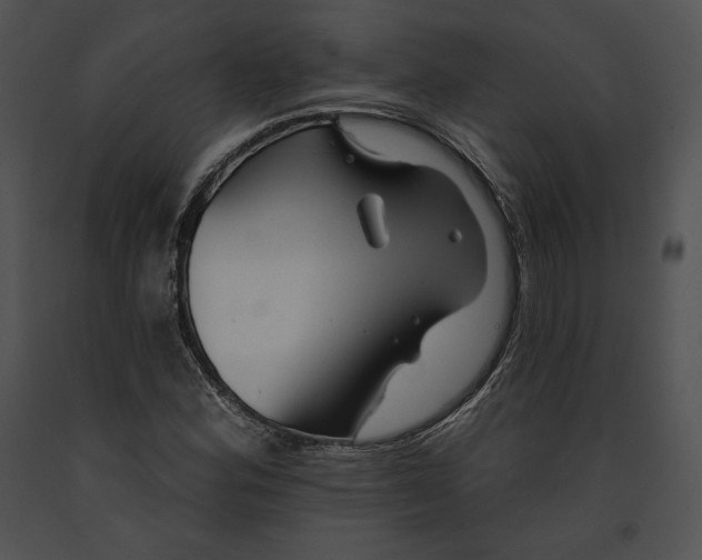 X0000091171164200708301149