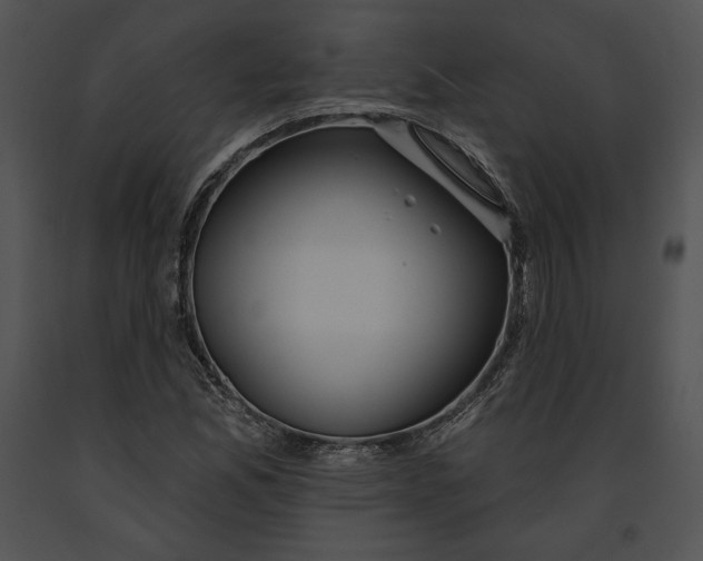 X0000091171165200708301149