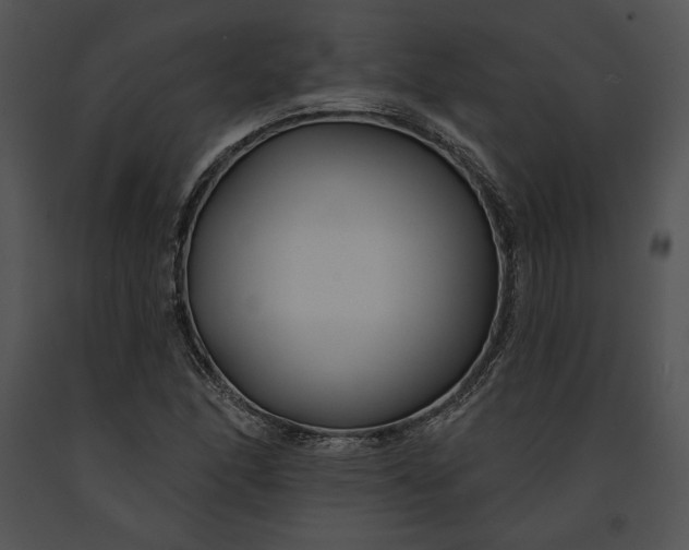 X0000091171166200708301149