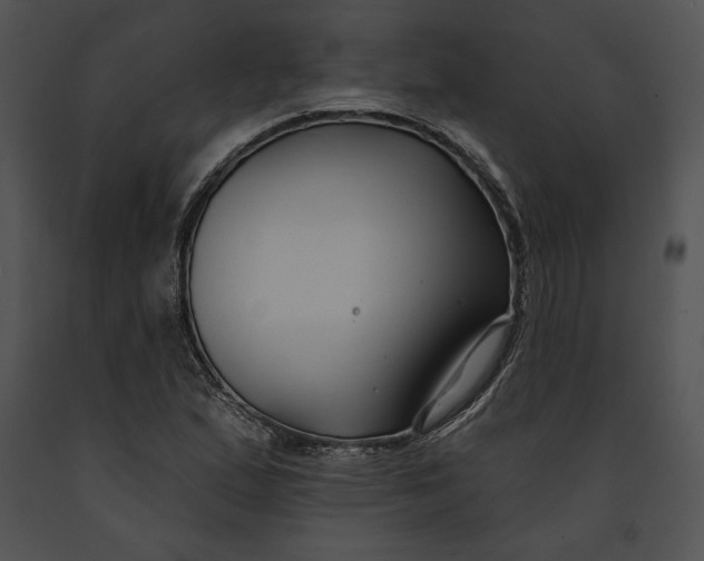 X0000091171167200708301149