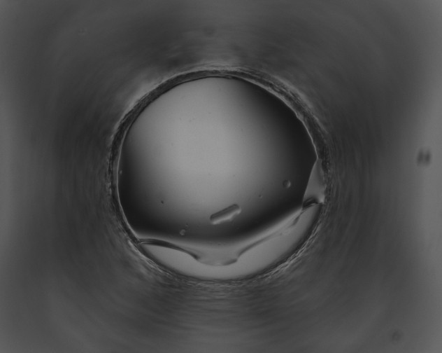 X0000091171168200708301149