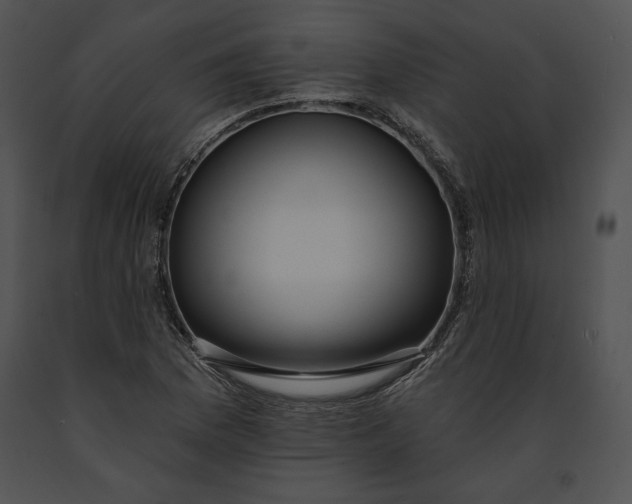 X0000091171169200708301149