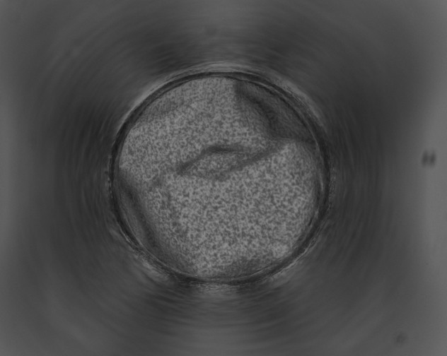 X0000091171170200708301149