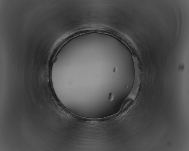 X0000091171172200708301149