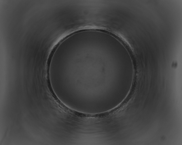 X0000091171173200708301149