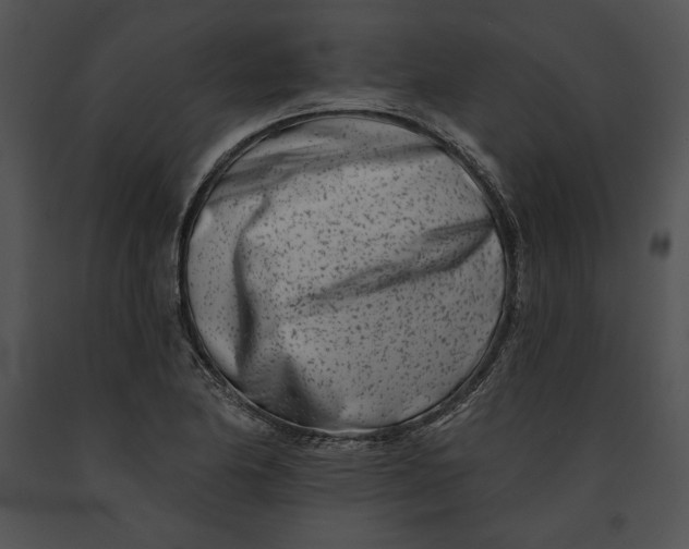 X0000091171174200708301149