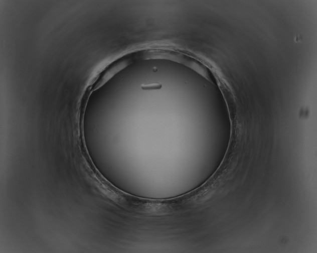 X0000091171176200708301149