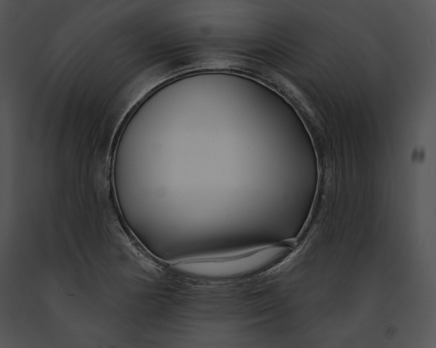 X0000091171178200708301149