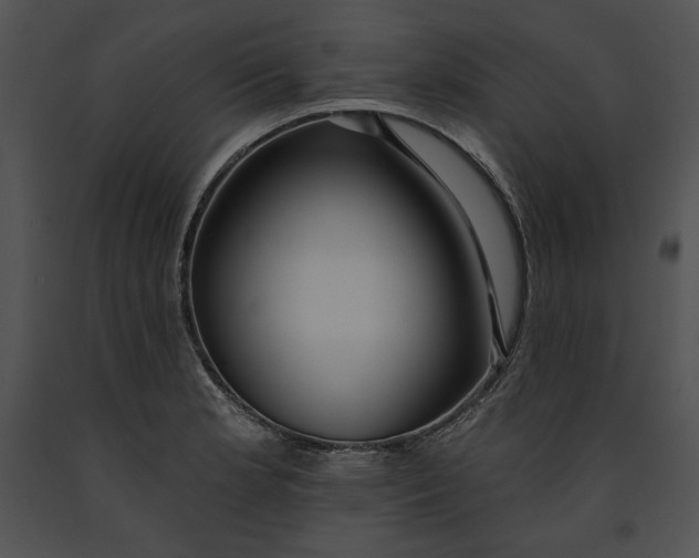 X0000091171181200708301149